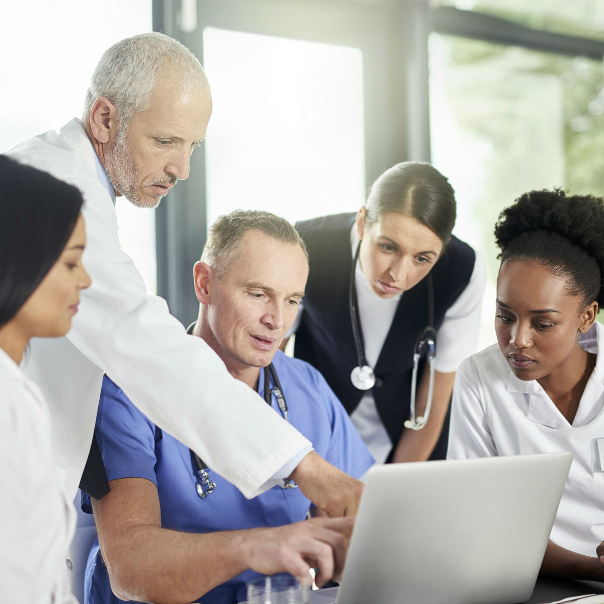 hospice medical director